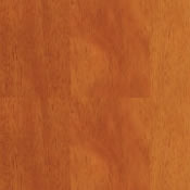 Aloma