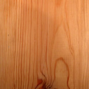 Musterbild Pitch Pine – ABSCHLIFF Berlin