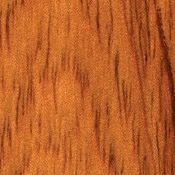Musterbild Cedar – ABSCHLIFF Berlin